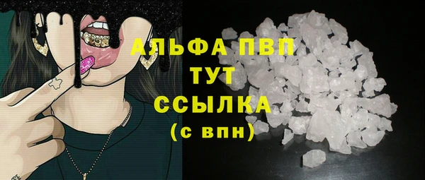 ECSTASY Покачи