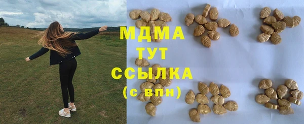 СК Пересвет