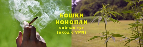 СК Пересвет