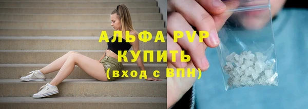 ECSTASY Покачи
