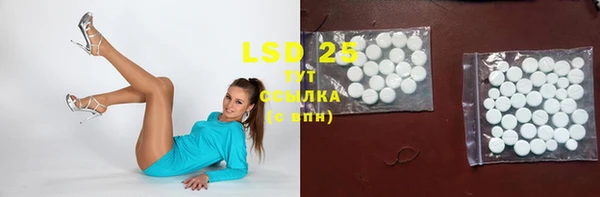 ECSTASY Покачи