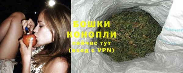 прущие крисы Пестово
