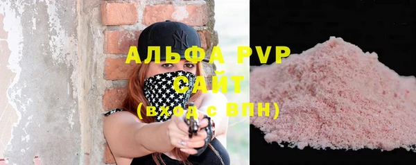 СК Пересвет