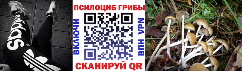 Галлюциногенные грибы Magic Shrooms  даркнет сайт  Петровск-Забайкальский 
